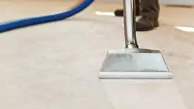 Carpet cleaning wand head gliding over a light carpet during hot-water extraction, Manchester, NH.